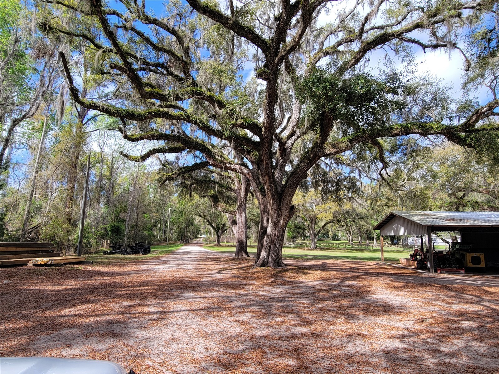 22397 Mondon Hill Road Brooksville FL 34601 W7884115 image5