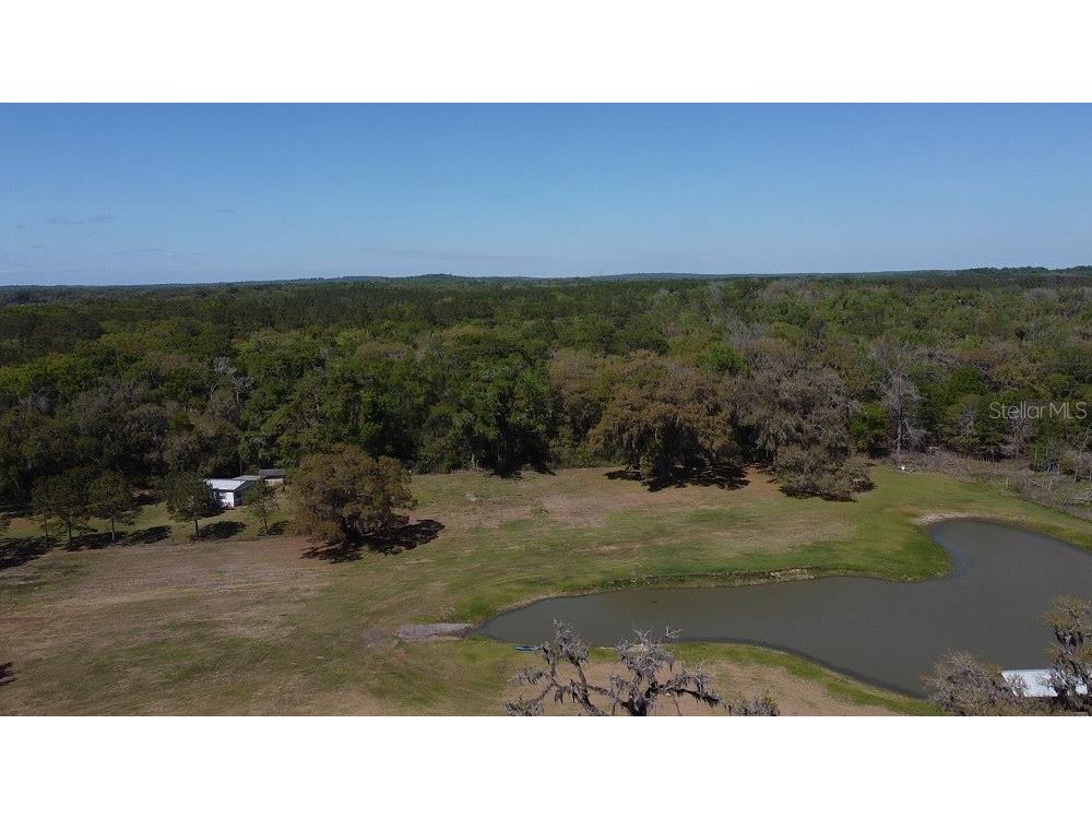 22397 Mondon Hill Road Brooksville FL 34601 W7884115 image53