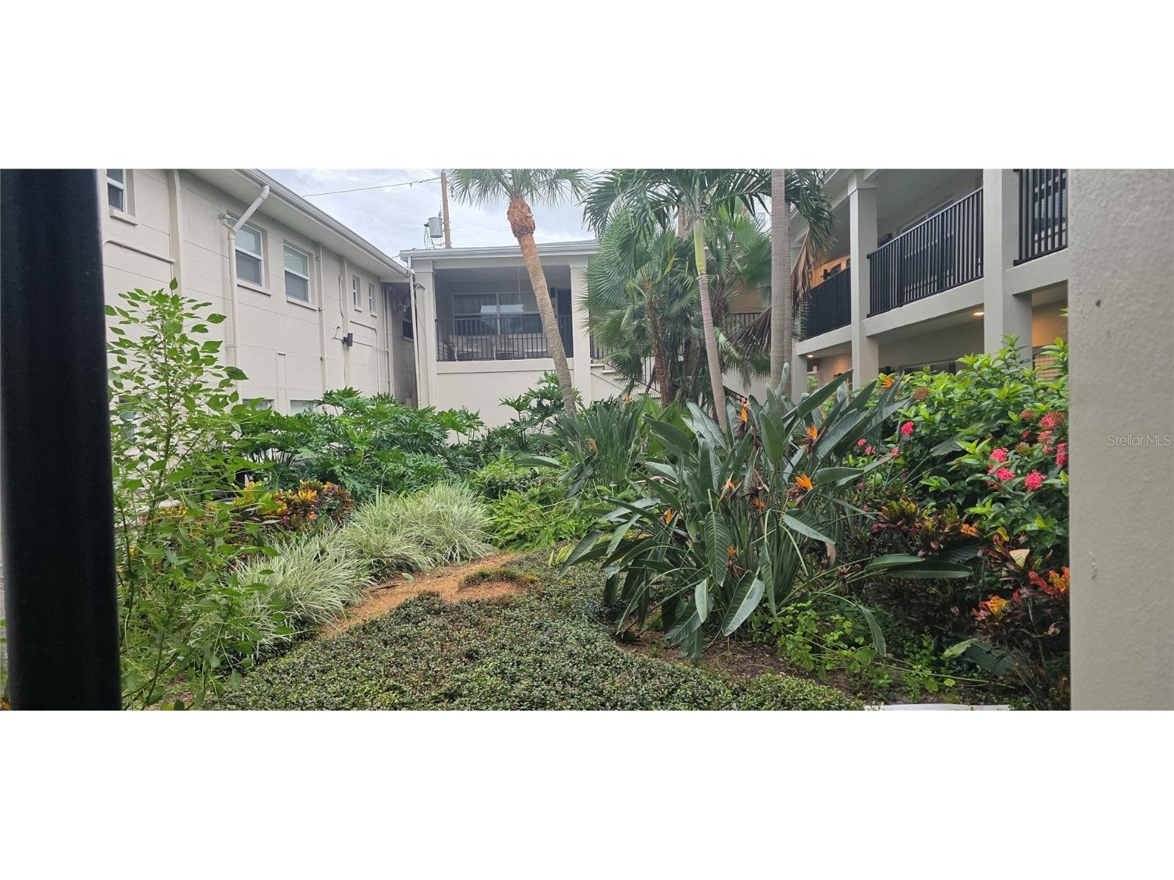 224 6th Avenue N #11 Saint Petersburg FL 33701 TB8450700 image1