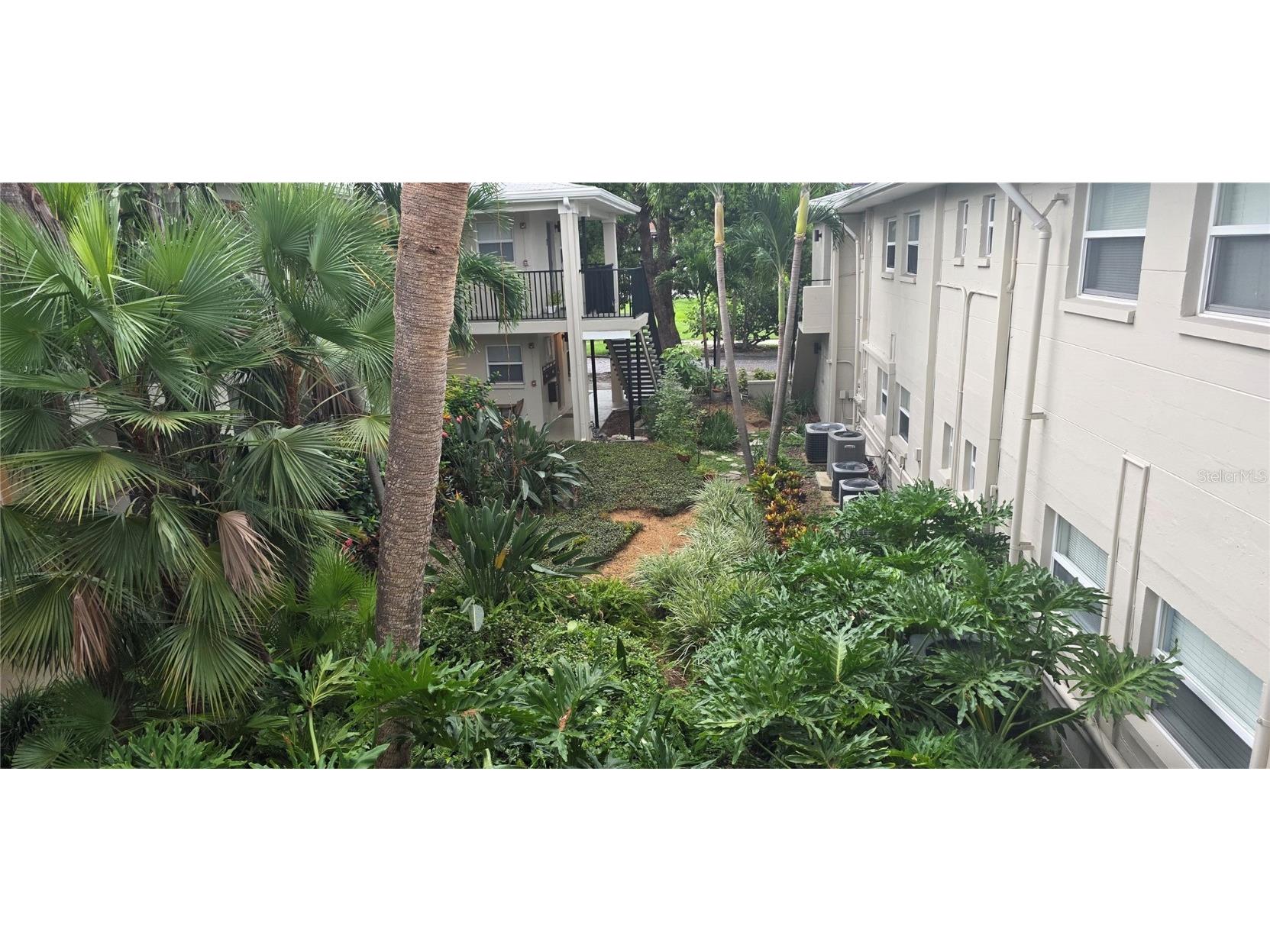 224 6th Avenue N #11 Saint Petersburg FL 33701 TB8450700 image3