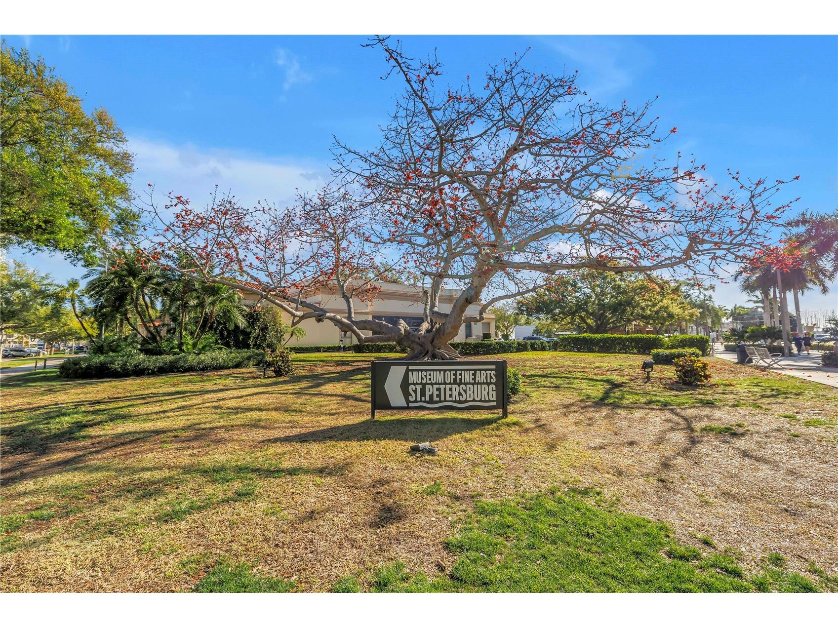 224 6th Avenue N #7 Saint Petersburg FL 33701 TB8457326 image37