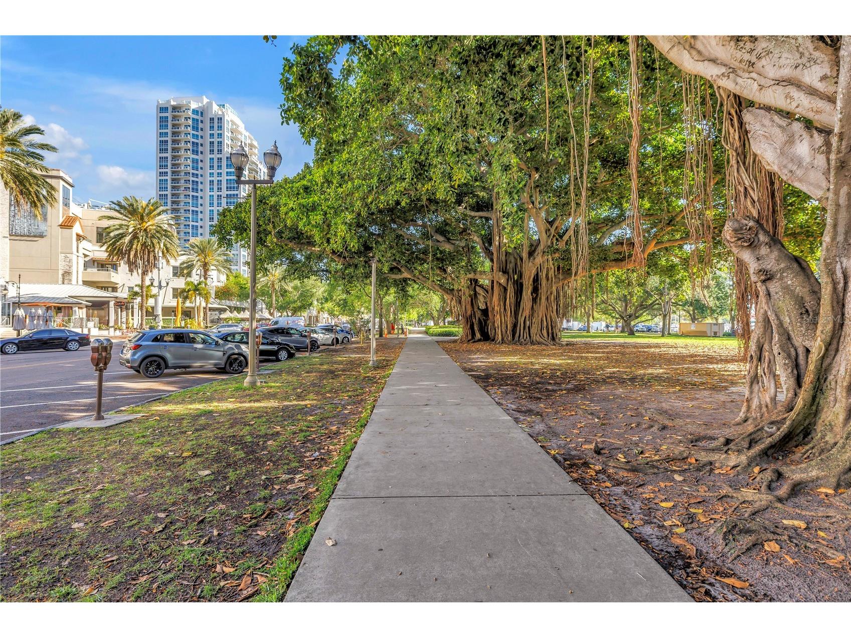 224 6th Avenue N #7 Saint Petersburg FL 33701 TB8457326 image39
