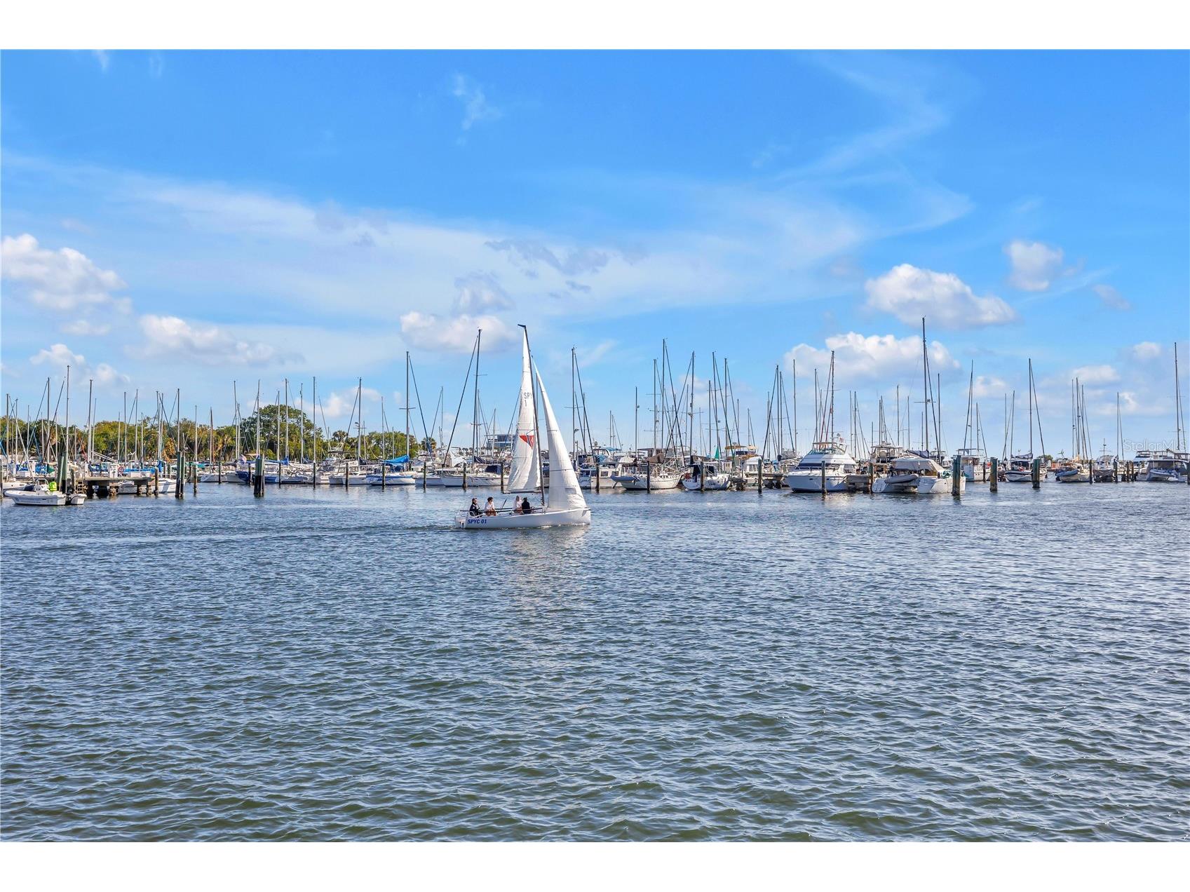 224 6th Avenue N #7 Saint Petersburg FL 33701 TB8457326 image41