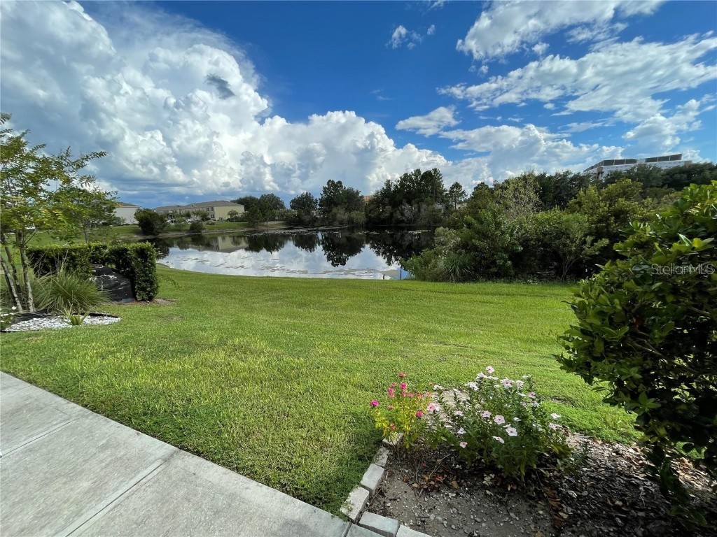 224 Arbor Lakes Drive Davenport FL 33896 O6334620 image12