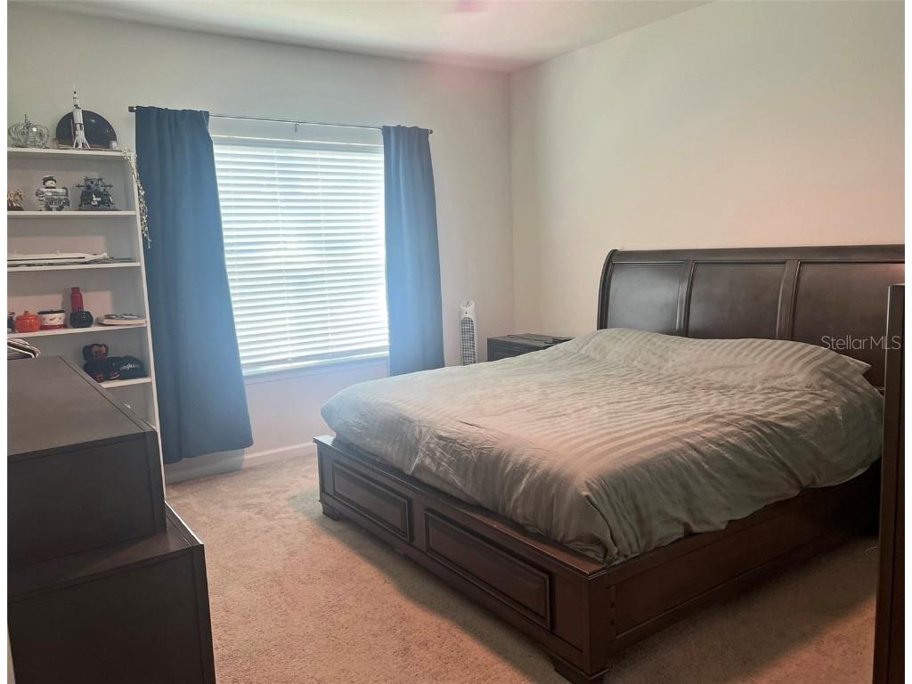 224 August Fern Loop Mount Dora FL 32757 O6362723 image12