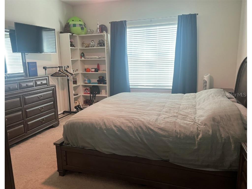 224 August Fern Loop Mount Dora FL 32757 O6362723 image13