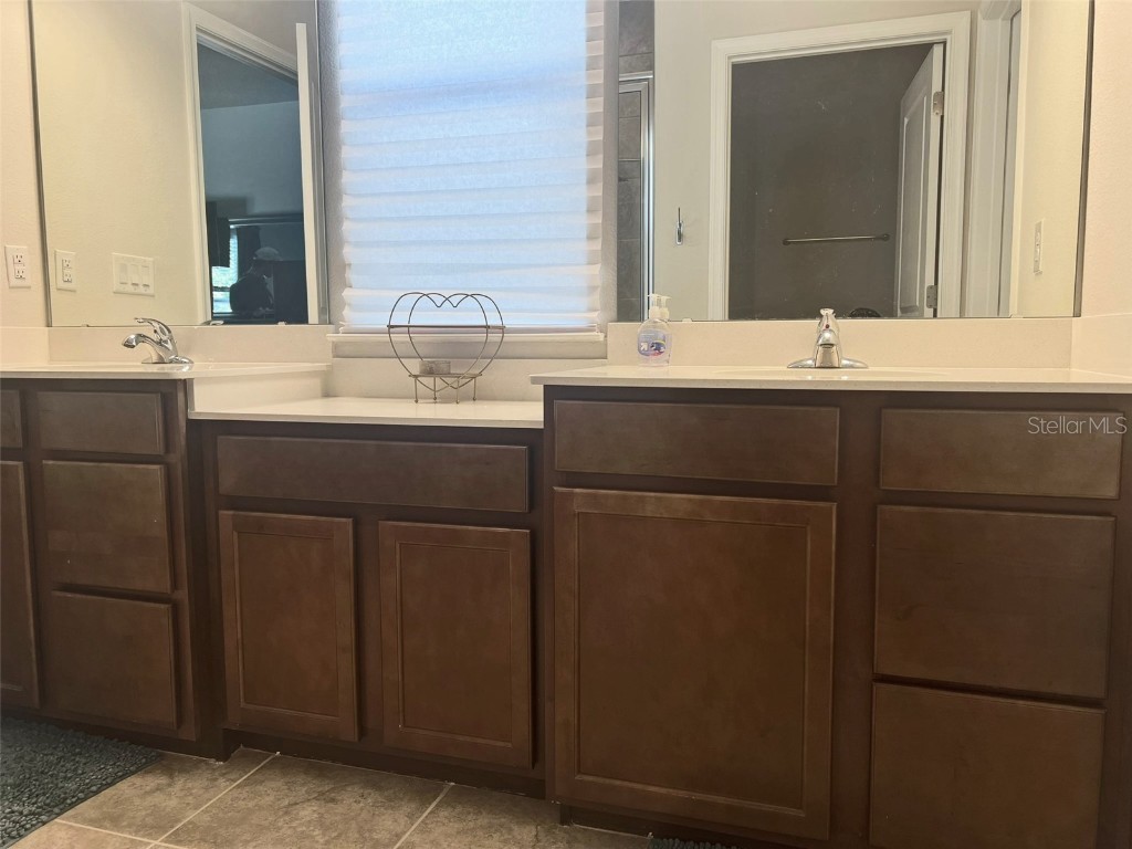 224 August Fern Loop Mount Dora FL 32757 O6362723 image14