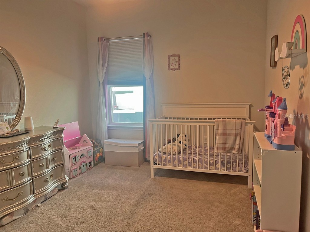 224 August Fern Loop Mount Dora FL 32757 O6362723 image17