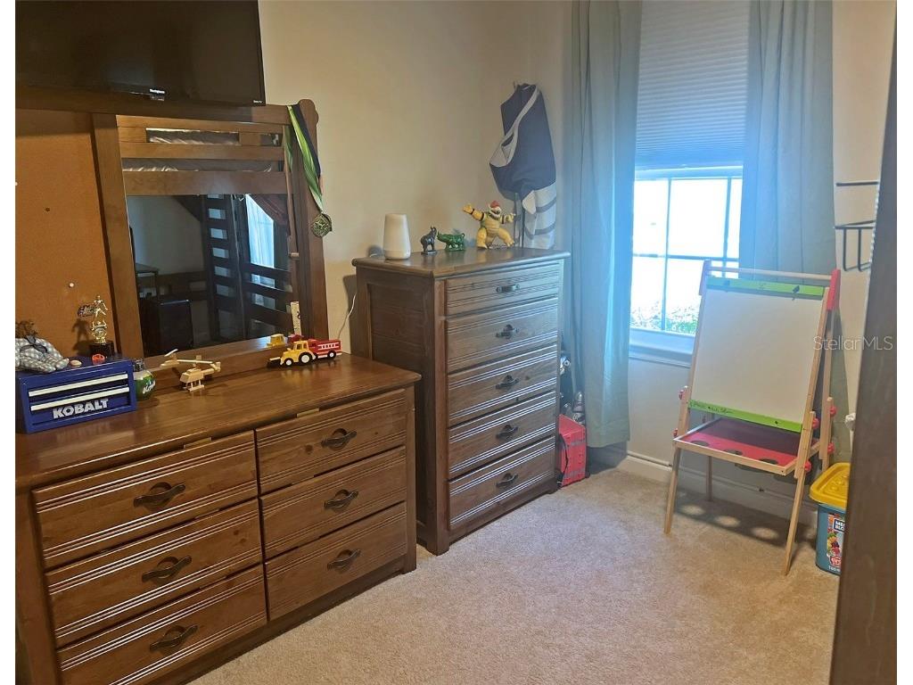 224 August Fern Loop Mount Dora FL 32757 O6362723 image18