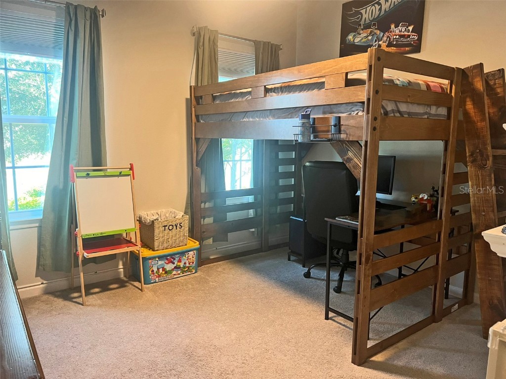 224 August Fern Loop Mount Dora FL 32757 O6362723 image19