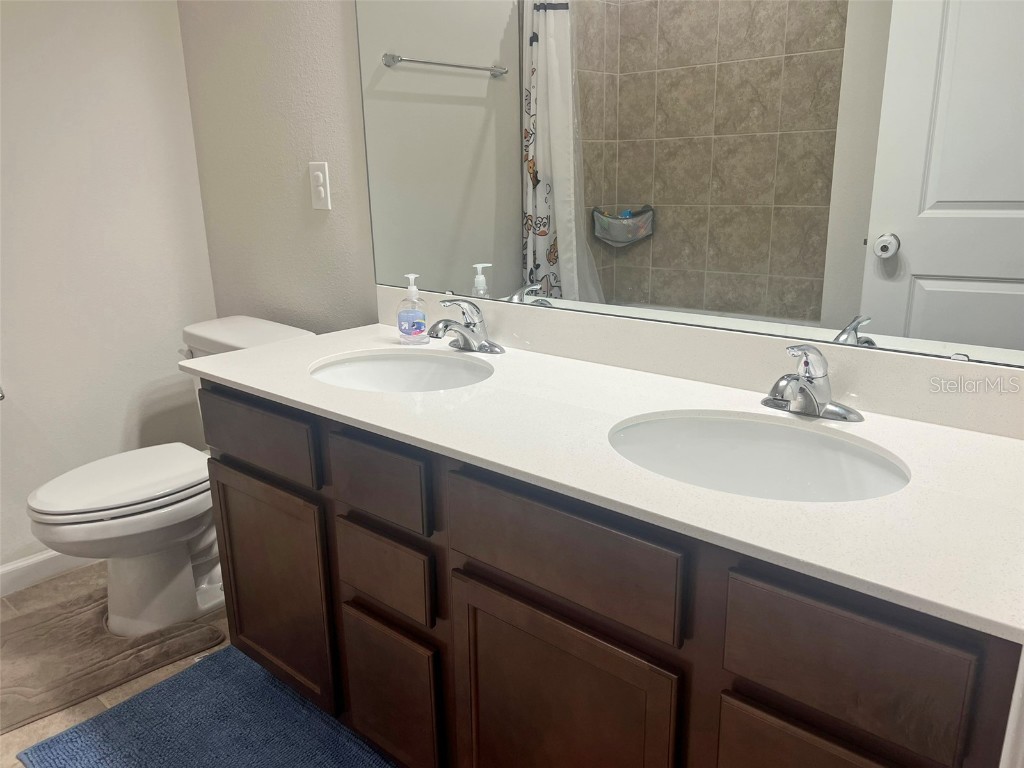 224 August Fern Loop Mount Dora FL 32757 O6362723 image21