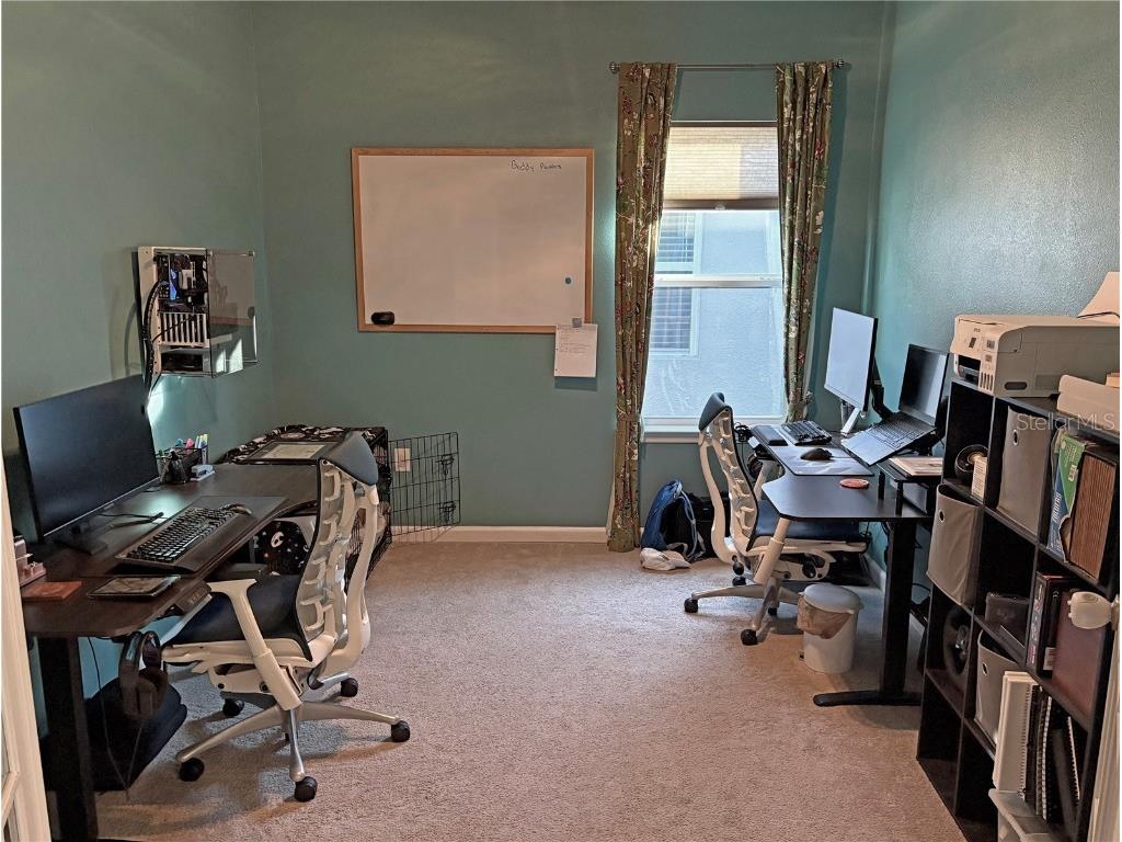 224 August Fern Loop Mount Dora FL 32757 O6362723 image22