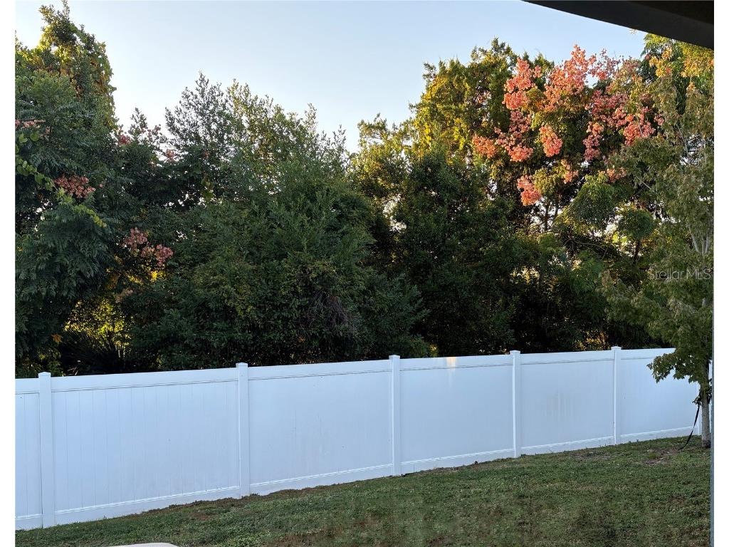 224 August Fern Loop Mount Dora FL 32757 O6362723 image24