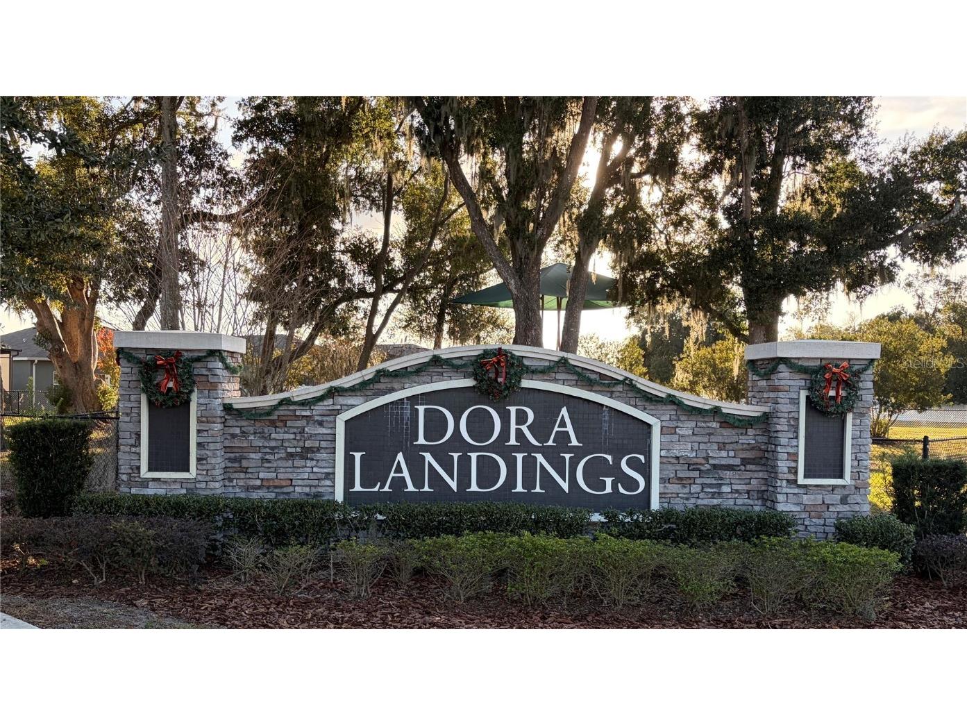 224 August Fern Loop Mount Dora FL 32757 O6362723 image26