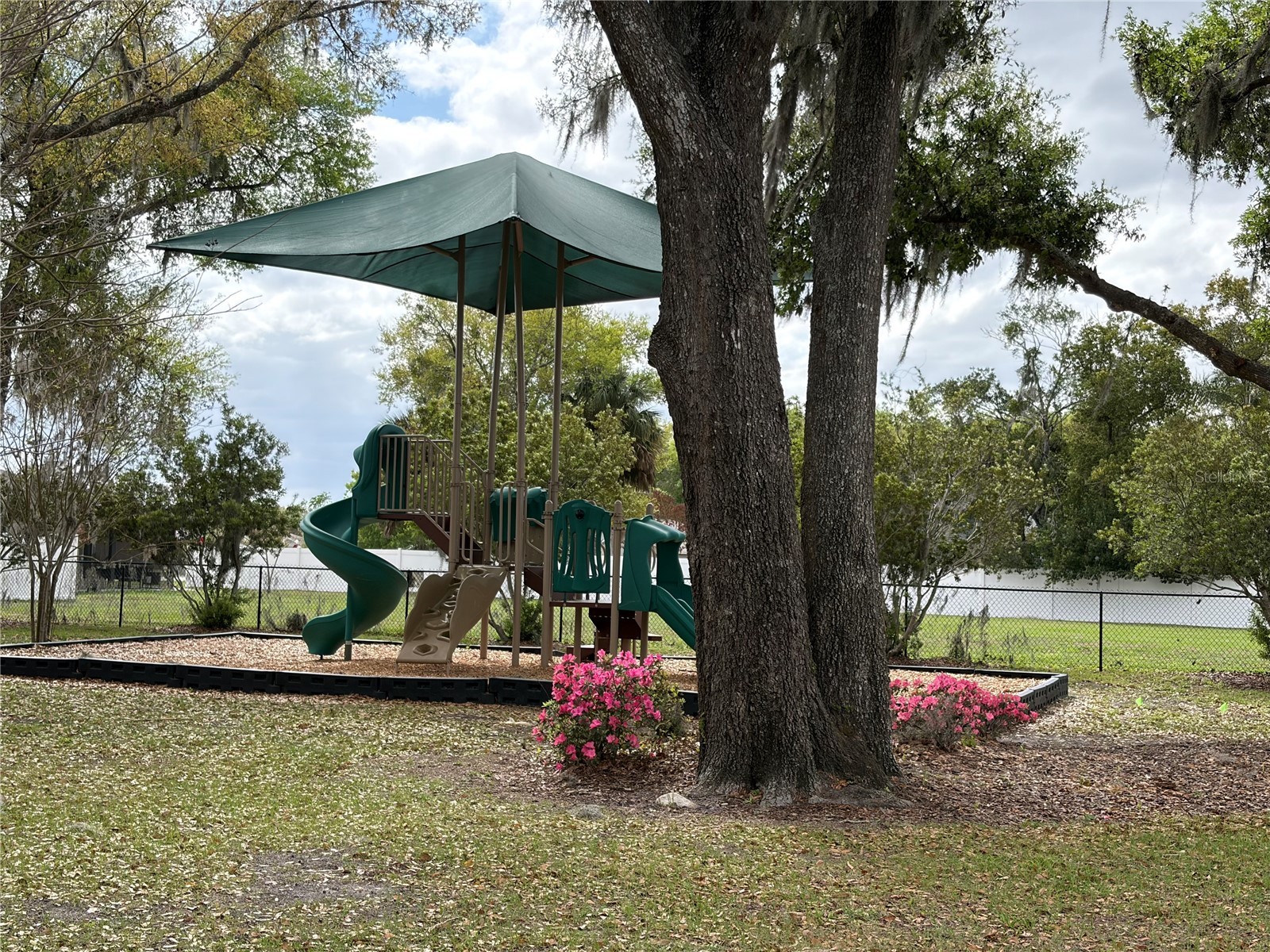 224 August Fern Loop Mount Dora FL 32757 O6362723 image27