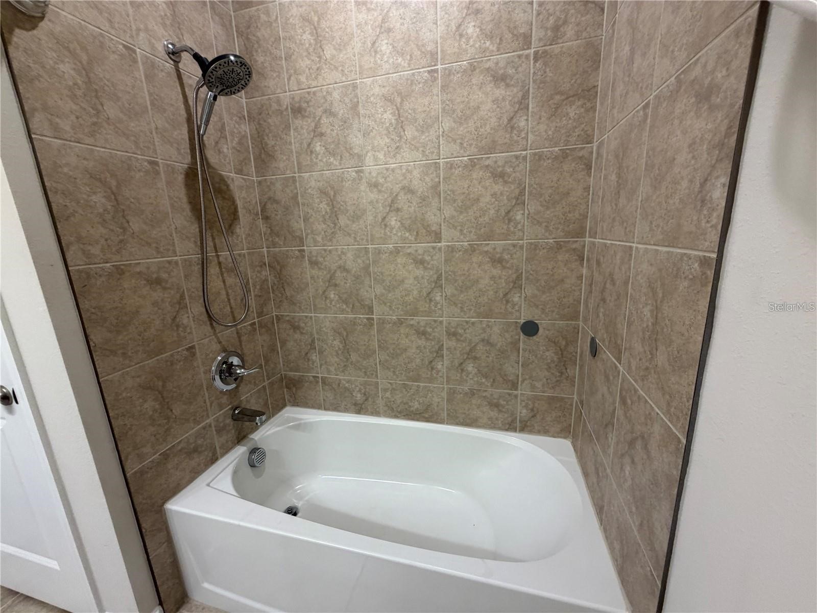 224 August Fern Loop Mount Dora FL 32757 O6412627 image16
