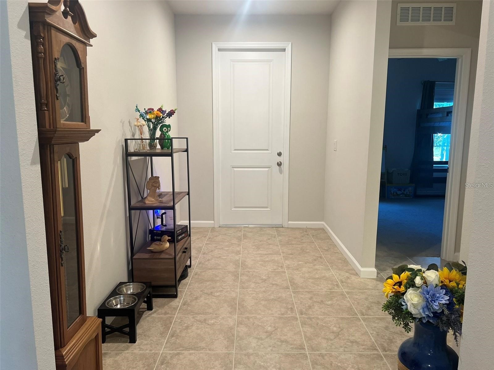 224 August Fern Loop Mount Dora FL 32757 O6412627 image19