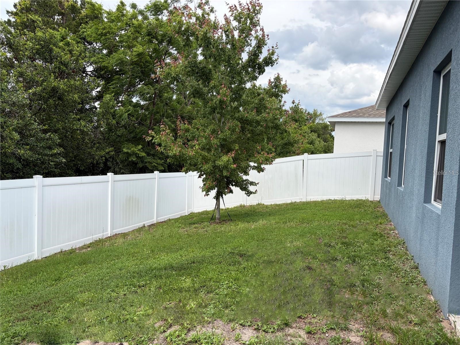 224 August Fern Loop Mount Dora FL 32757 O6412627 image21