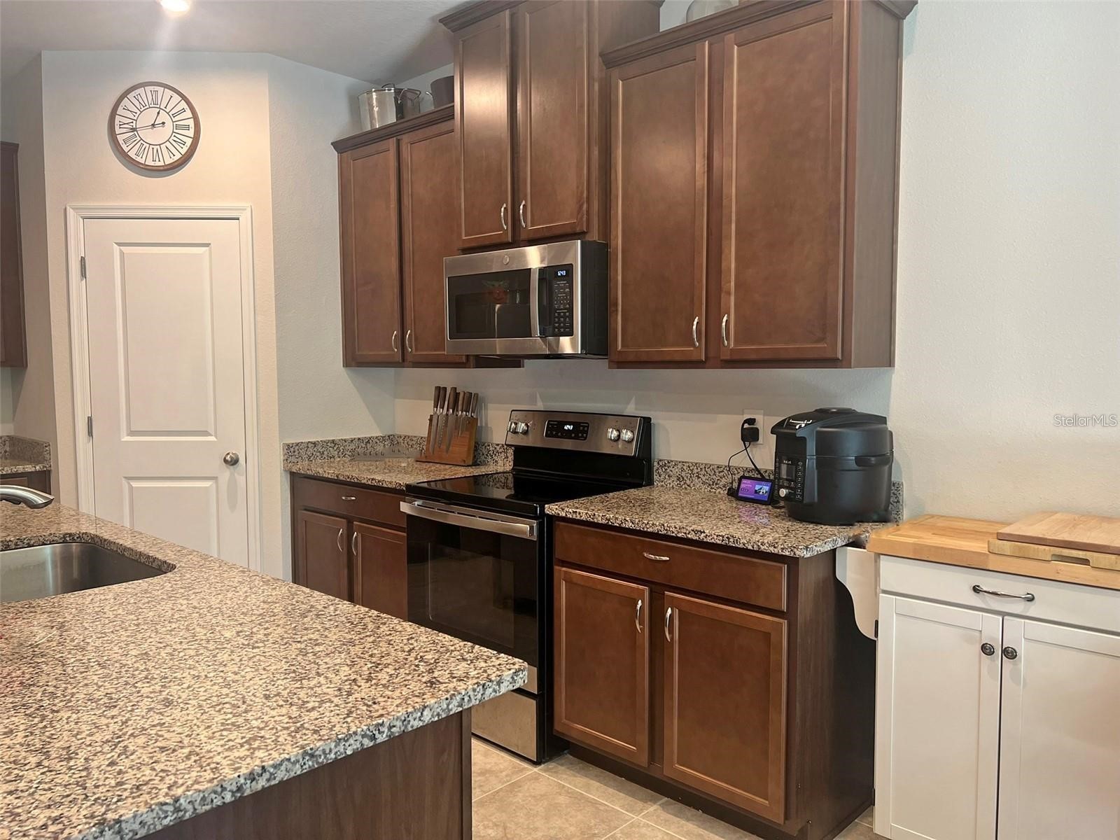 224 August Fern Loop Mount Dora FL 32757 O6412627 image5