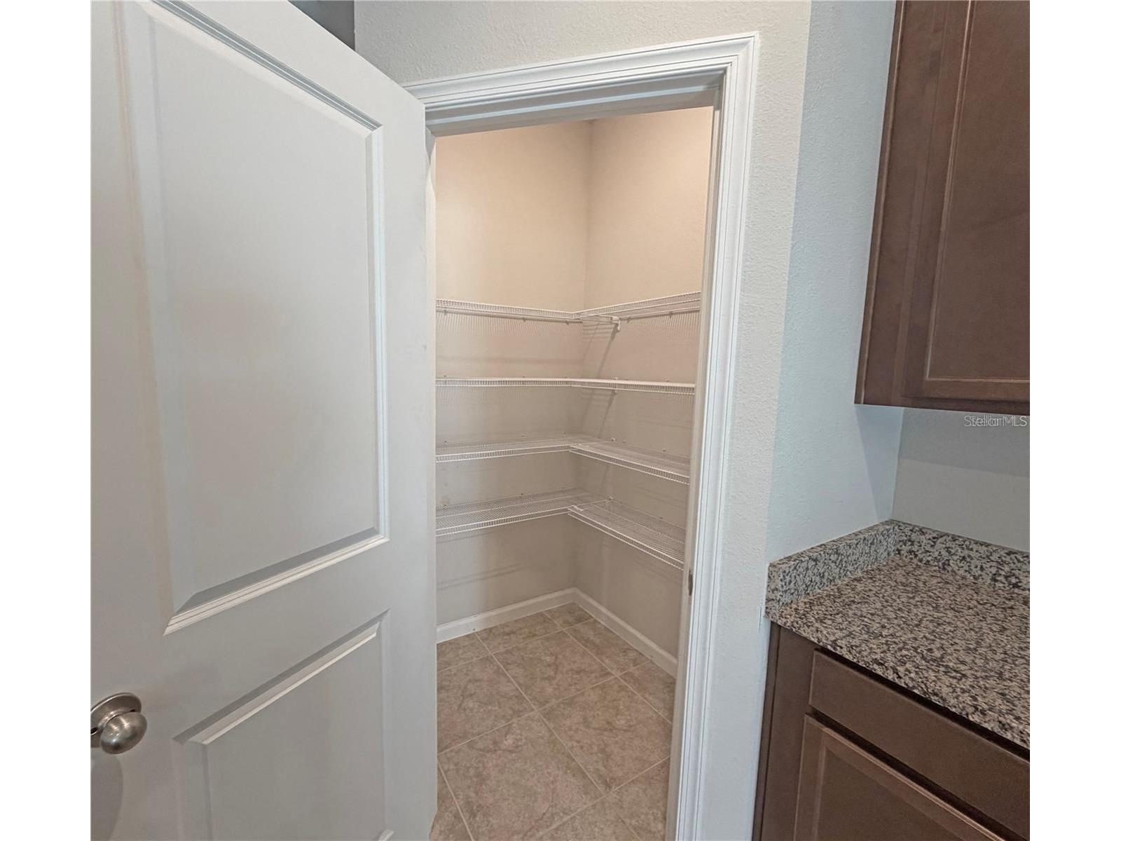 224 August Fern Loop Mount Dora FL 32757 O6412627 image7