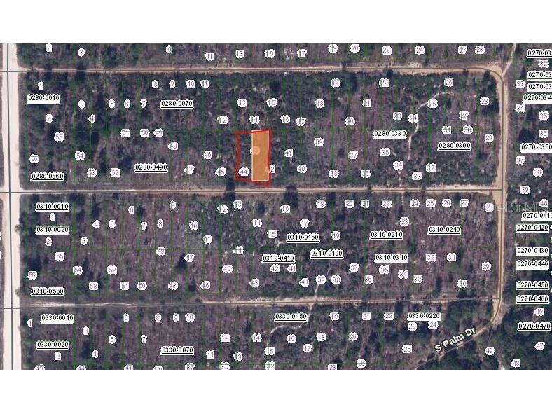 224 Birch Street Interlachen FL 32148 OM657493 image2