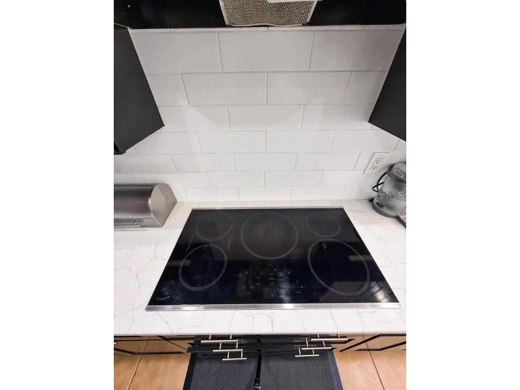 224 Birkdale Drive Daytona Beach FL 32124 FC309179 image22