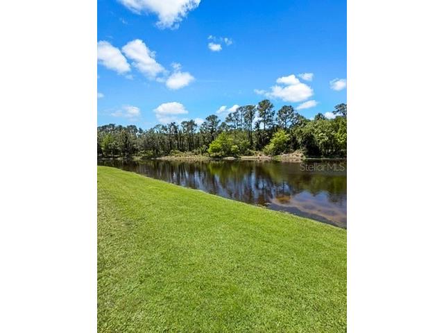 224 Birkdale Drive Daytona Beach FL 32124 FC309179 image4