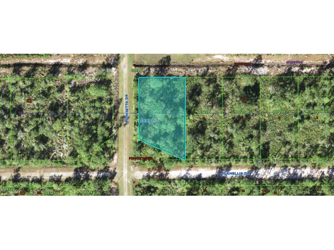 224 Camellia Drive Indian Lake Estates FL 33855 O6272518 image2