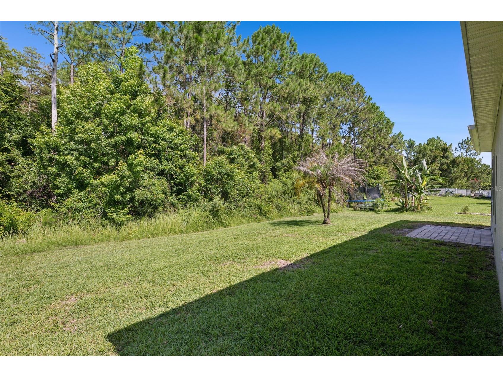 224 Cape Sable Drive Orlando FL 32825 O6414734 image5