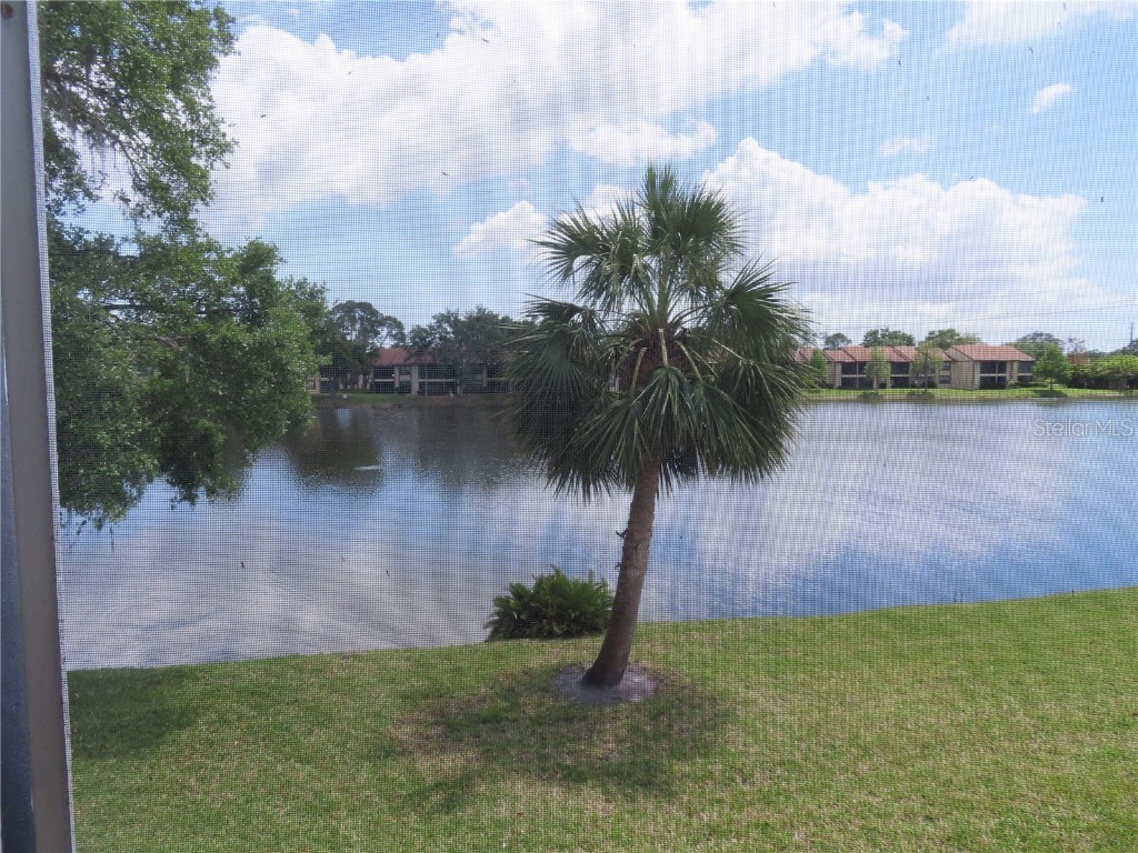 224 Cypress Lane #224 Oldsmar FL 34677 TB8373274 image1