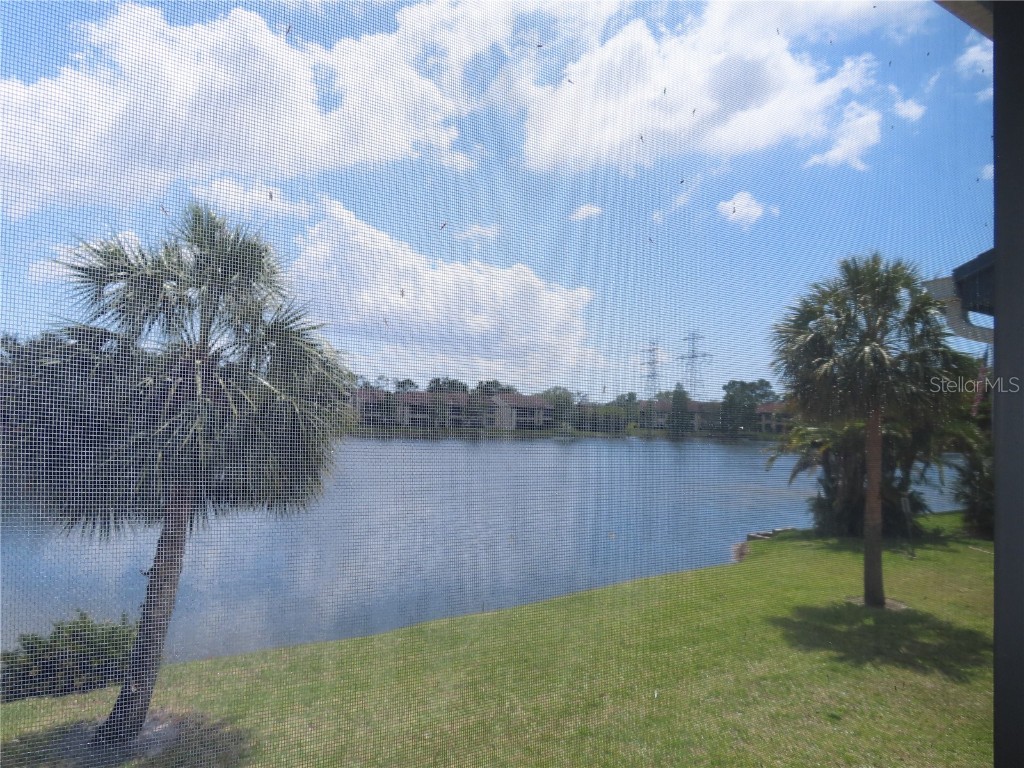 224 Cypress Lane #224 Oldsmar FL 34677 TB8373274 image3