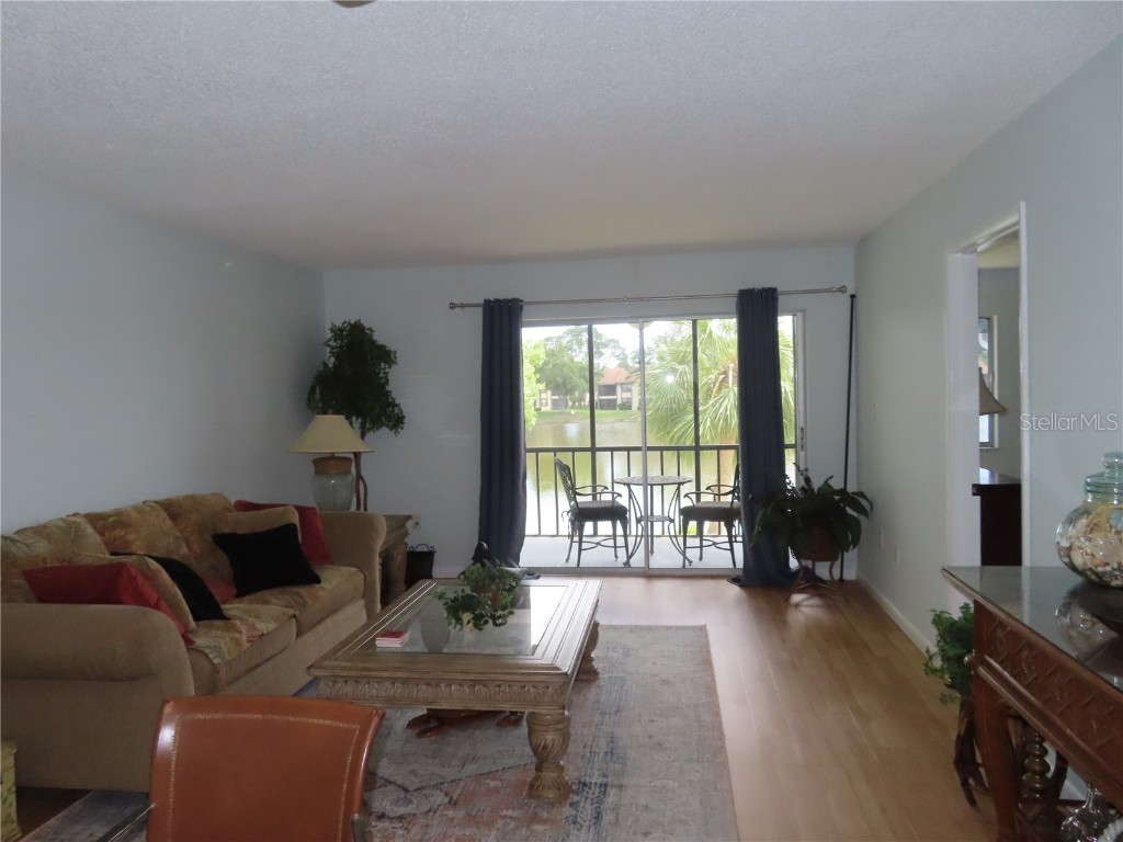 224 Cypress Lane #224 Oldsmar FL 34677 TB8373274 image7