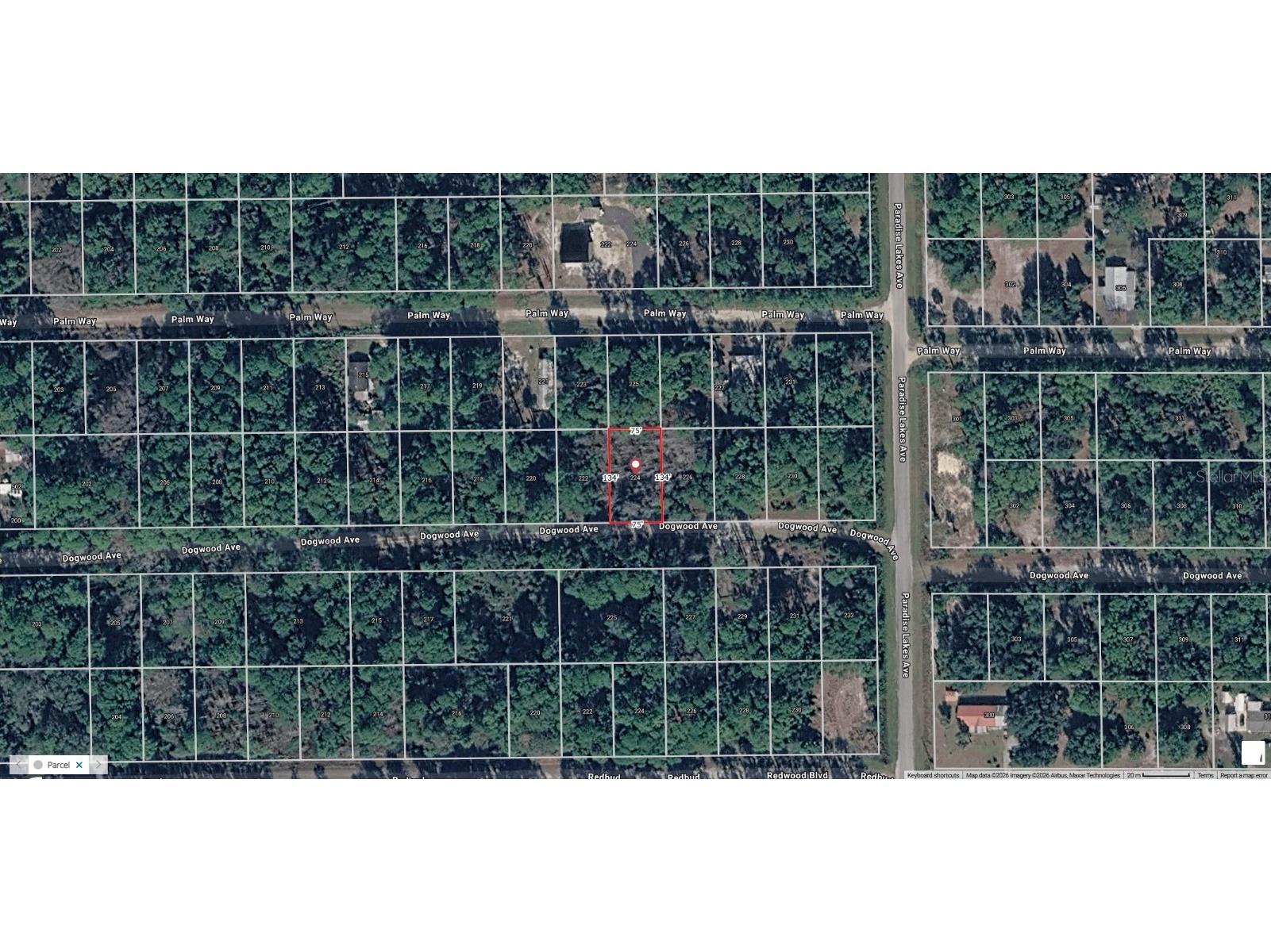 224 Dogwood Avenue Georgetown FL 32139 V4949170 image1