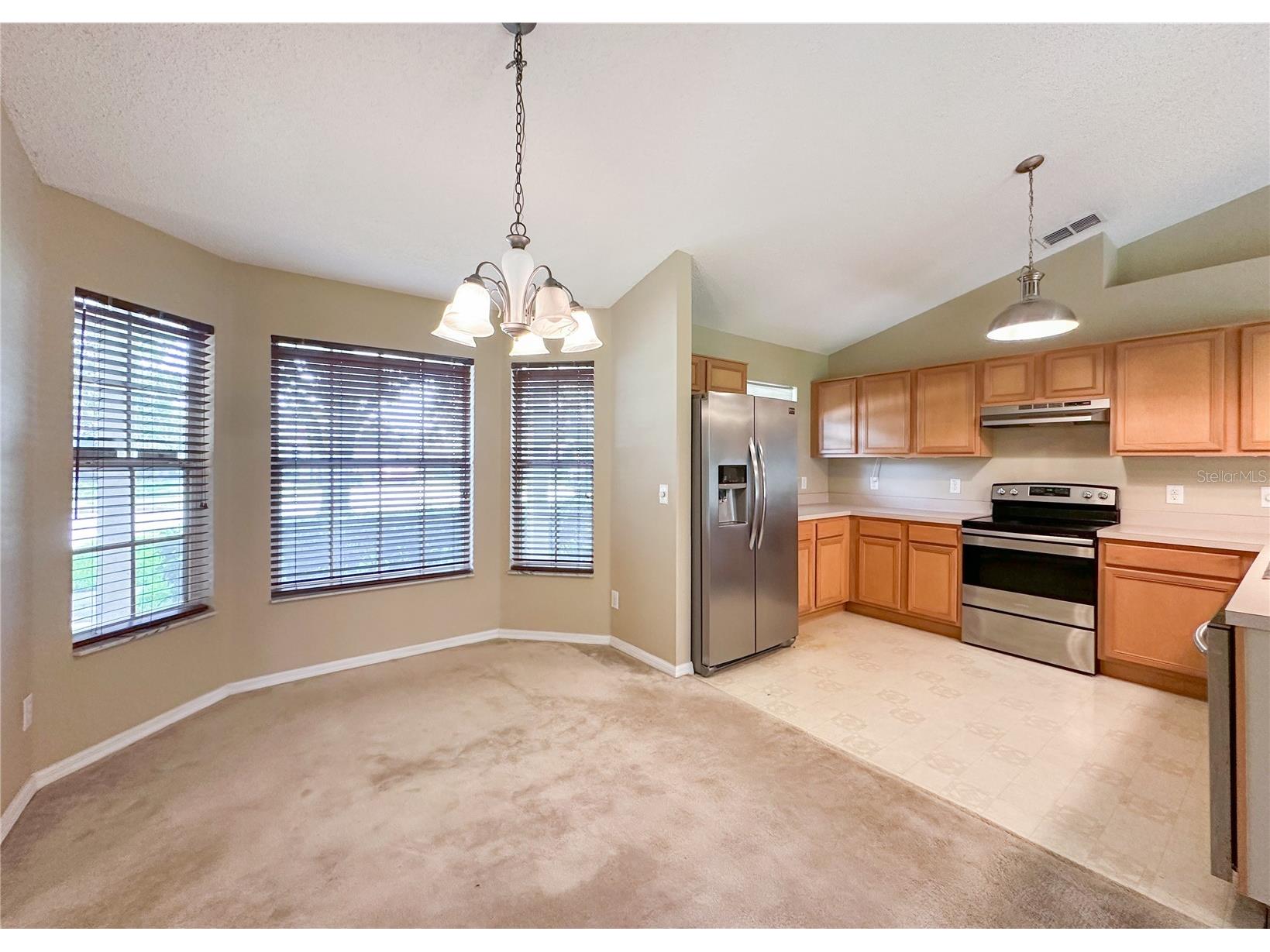 224 Faulkner Street Winter Garden FL 34787 O6411344 image10