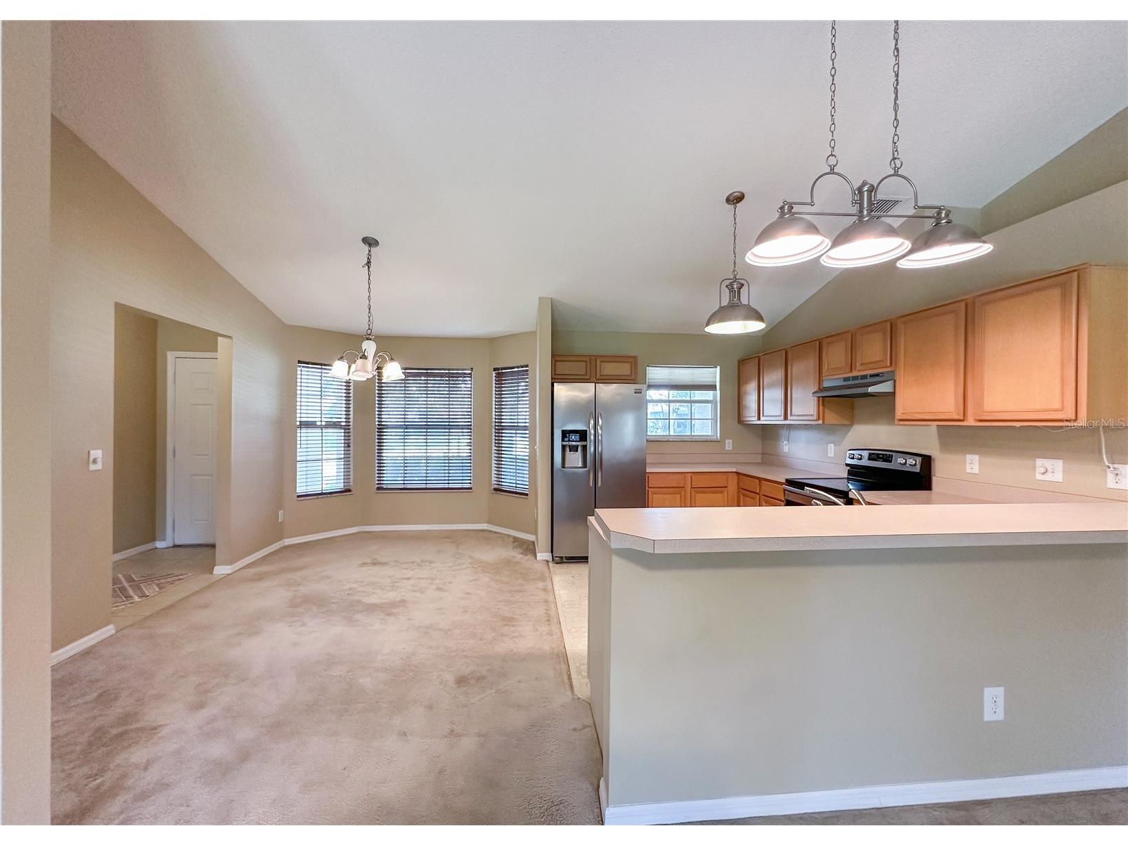 224 Faulkner Street Winter Garden FL 34787 O6411344 image11
