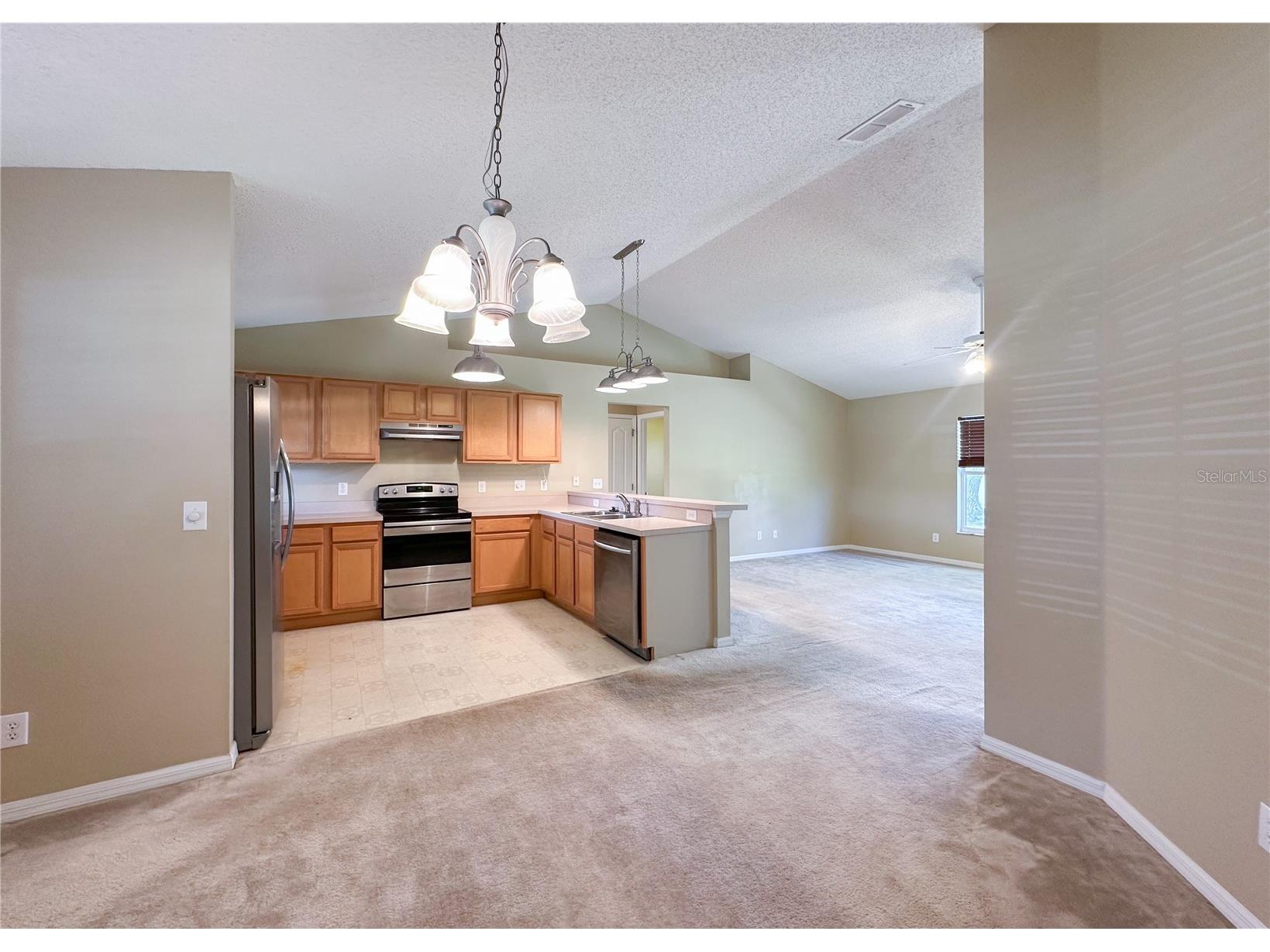 224 Faulkner Street Winter Garden FL 34787 O6411344 image12