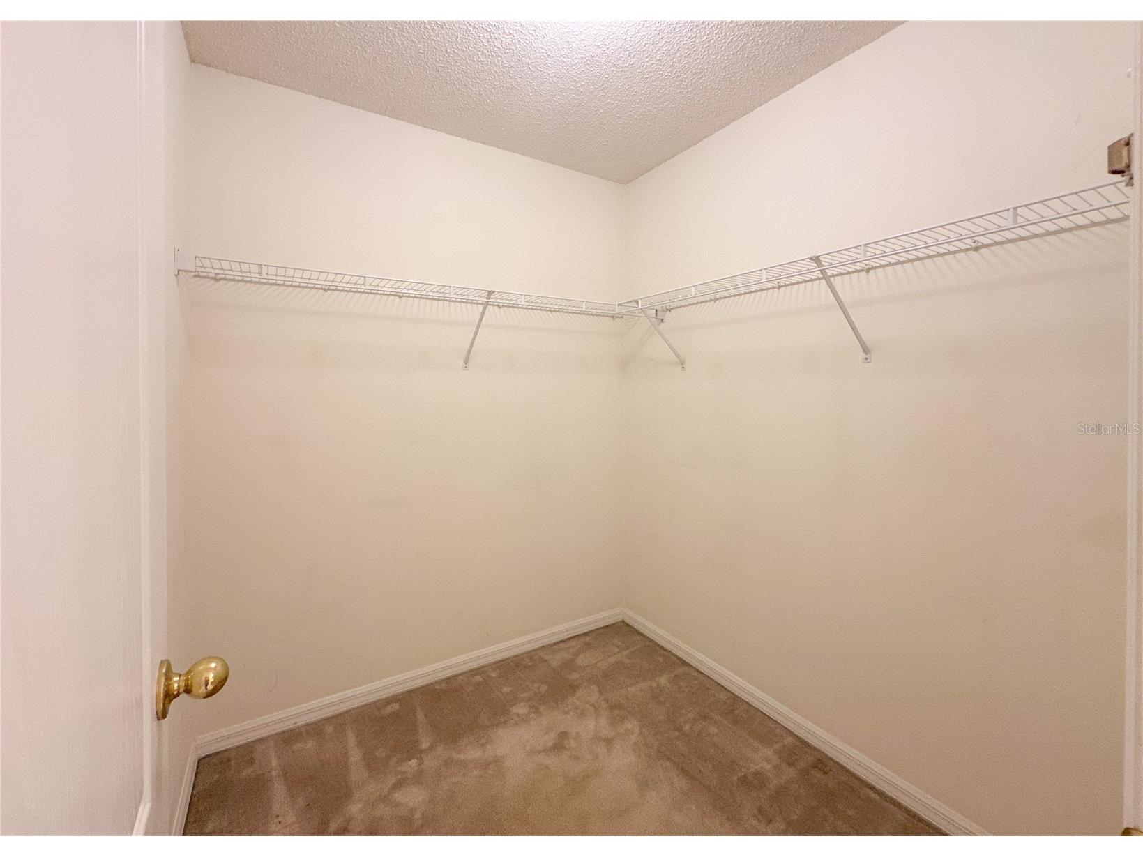 224 Faulkner Street Winter Garden FL 34787 O6411344 image22