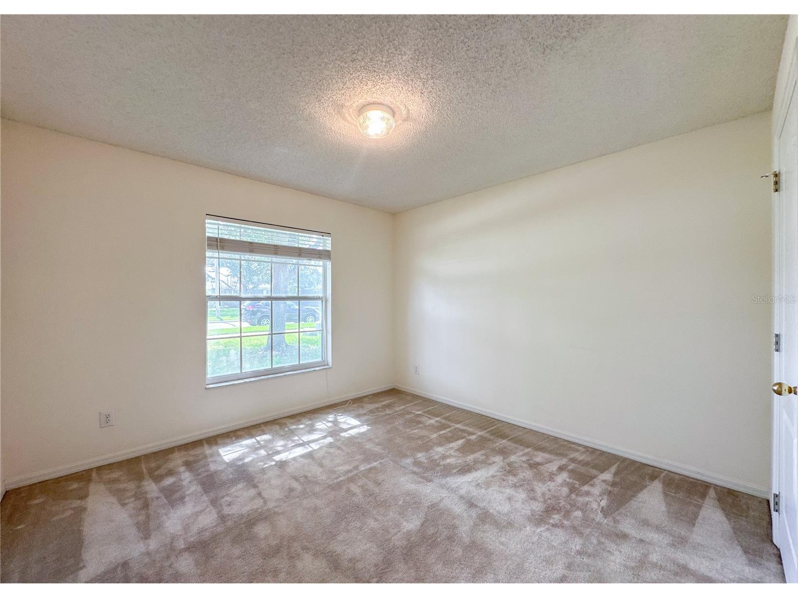 224 Faulkner Street Winter Garden FL 34787 O6411344 image24