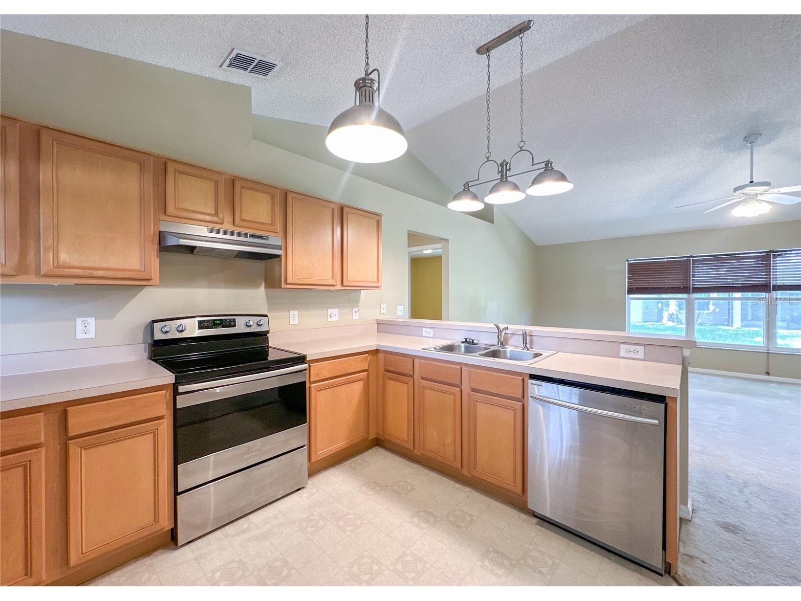 224 Faulkner Street Winter Garden FL 34787 O6411344 image9
