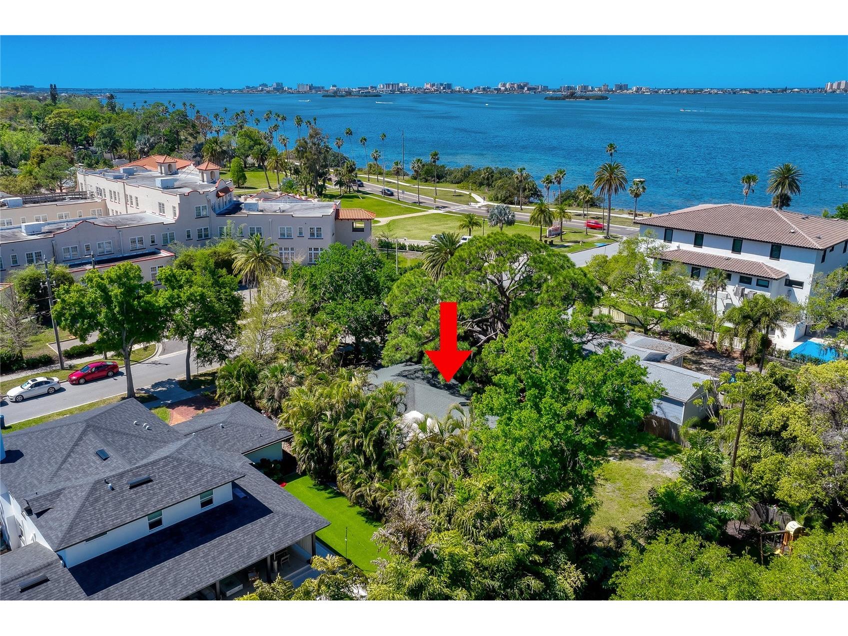 224 Lyndhurst Street Dunedin FL 34698 TB8489494 image11