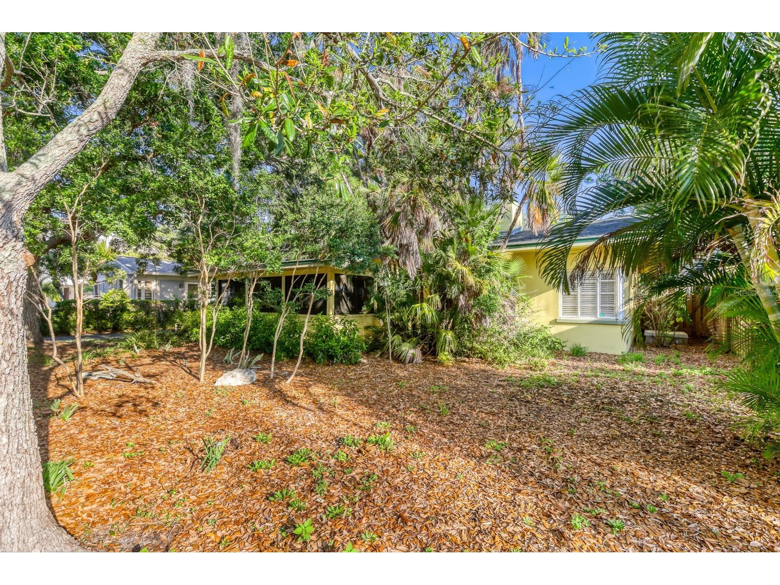 224 Lyndhurst Street Dunedin FL 34698 TB8489494 image2