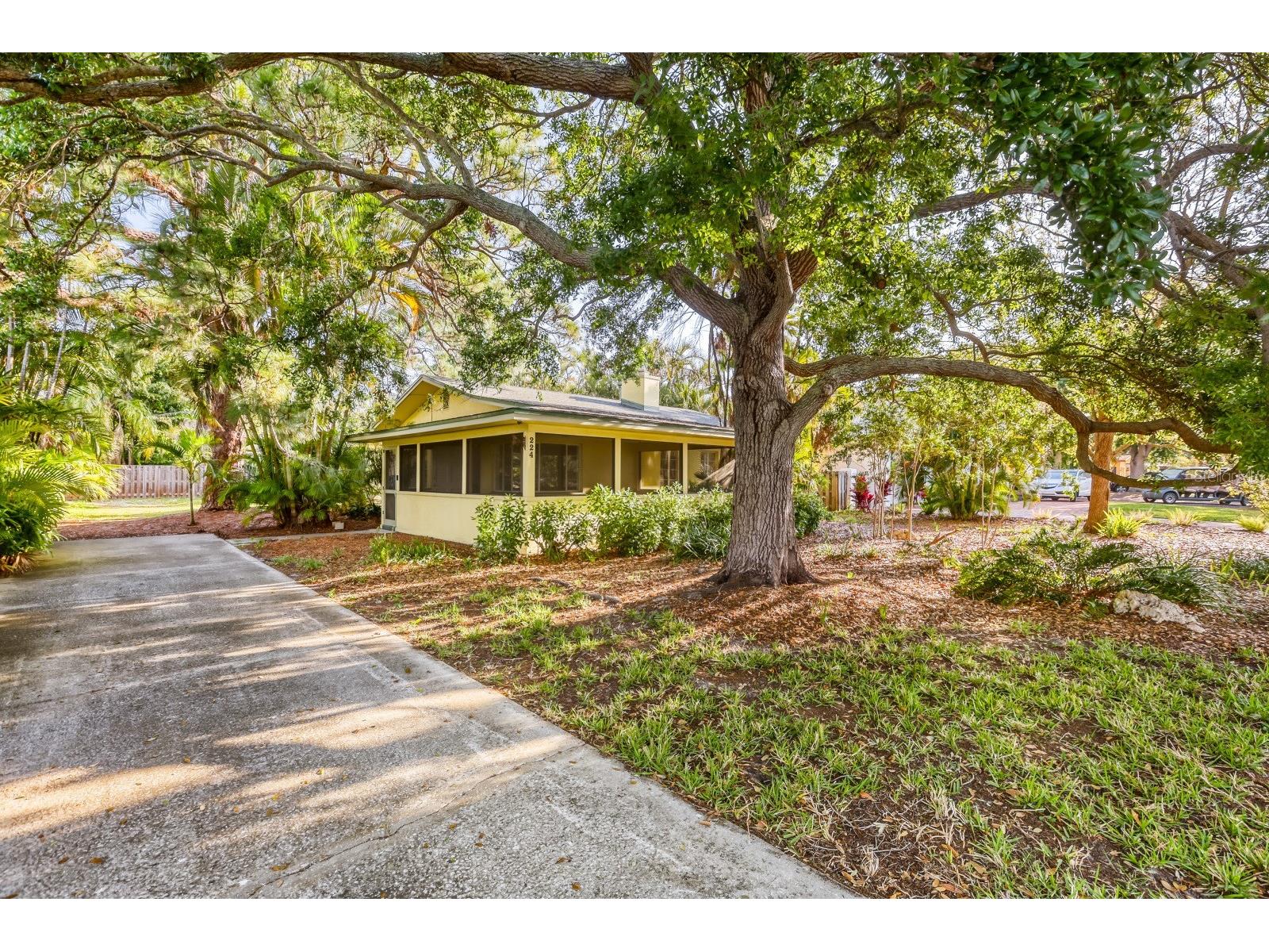 224 Lyndhurst Street Dunedin FL 34698 TB8489494 image4