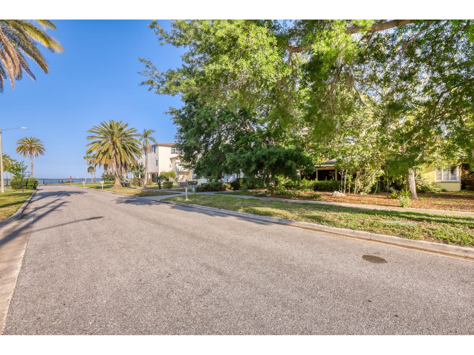 224 Lyndhurst Street Dunedin FL 34698 TB8489494 image8