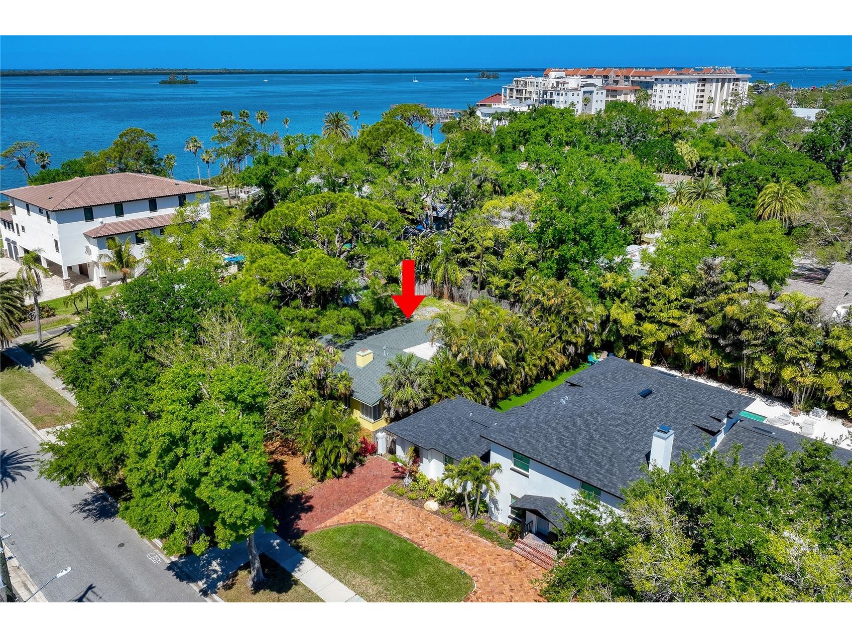 224 Lyndhurst Street Dunedin FL 34698 TB8489494 image9