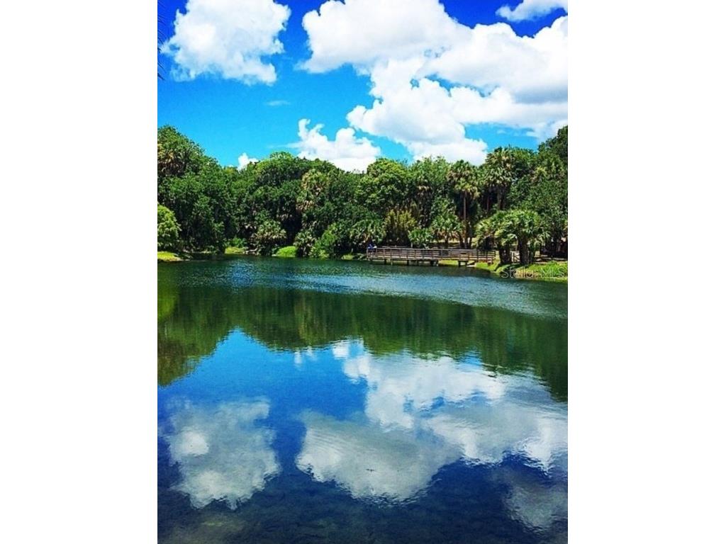 224 Mansion Boulevard Debary FL 32713 R4908942 image2