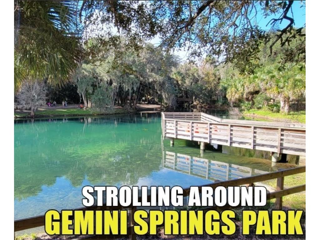 224 Mansion Boulevard Debary FL 32713 R4908942 image3