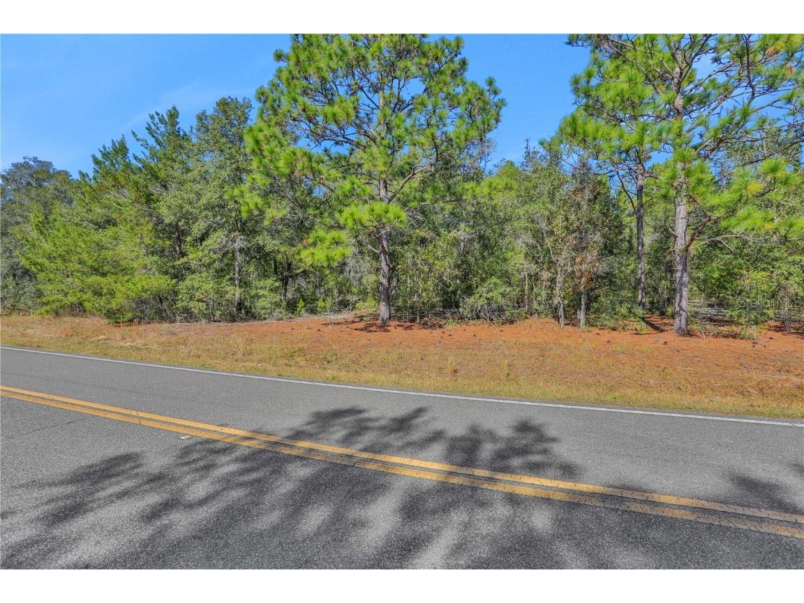 224 Melrose Landing Boulevard Hawthorne FL 32640 FC296052 image1