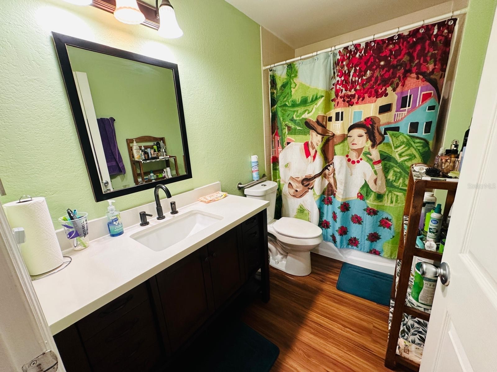 224 Montego Drive Sebring FL 33870 P4939162 image18