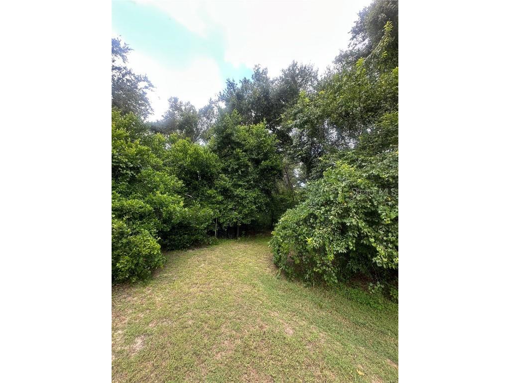 224 Old Mulrennan Road Valrico FL 33594 TB8409710 image10