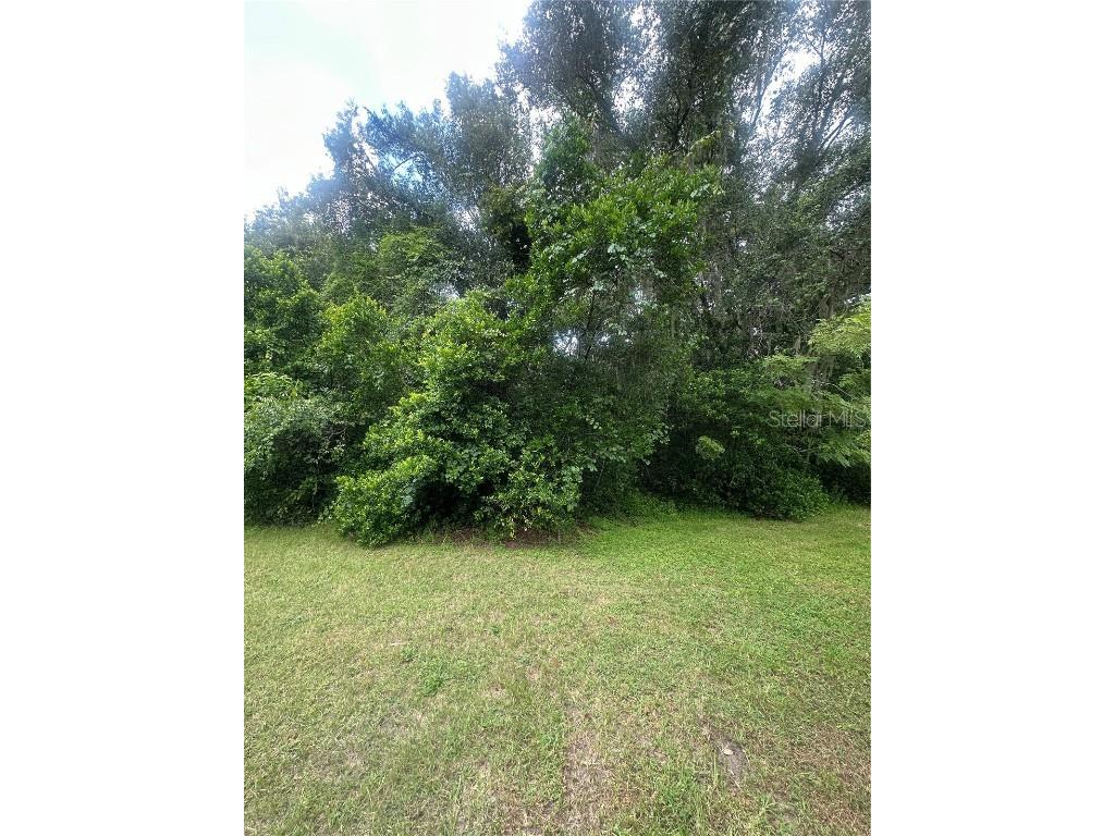 224 Old Mulrennan Road Valrico FL 33594 TB8409710 image11